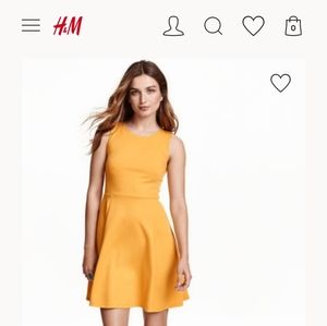 H&M mustard yellow skater dress